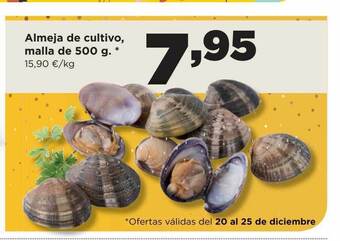 Alimerka Almeja de cultivo oferta