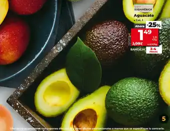Dia Aguacate Sudamérica oferta