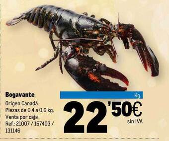 Makro Bogavante oferta