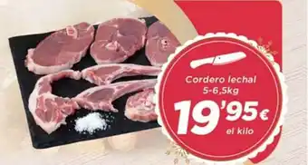 SPAR Cordero lechal oferta