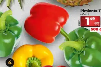 Dia Pimiento t. oferta