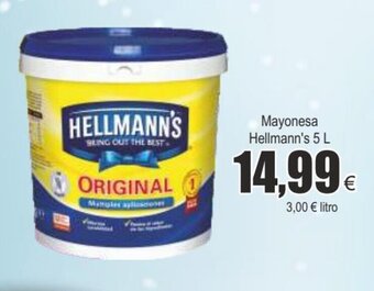 FROIZ Mayonesa hellmann's 5 L oferta