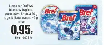 FROIZ Limpiador bret WC blue activ hygiene oferta