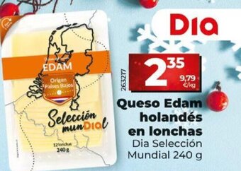 Dia Queso edam holandés en lonchas oferta