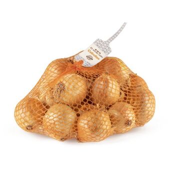 ALDI Cebollas oferta