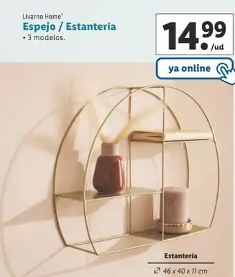 Lidl Espejo/estantería livarno oferta