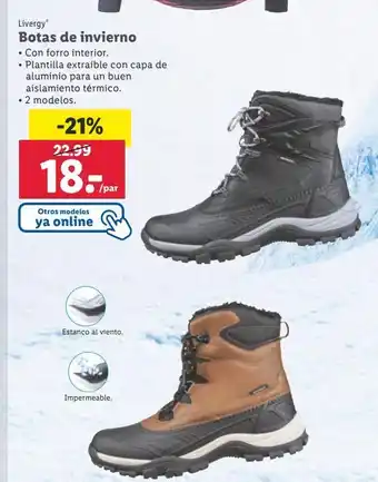 Lidl Botas livergy oferta