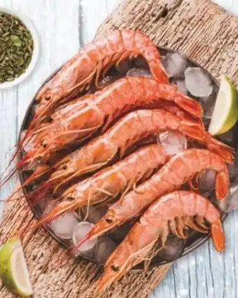 Sorli Gamba llagostinera 10/30 peces/kg oferta