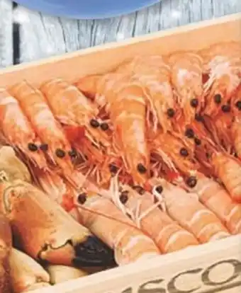 Sorli Gamba llagostinera 30/40 peces/kg oferta