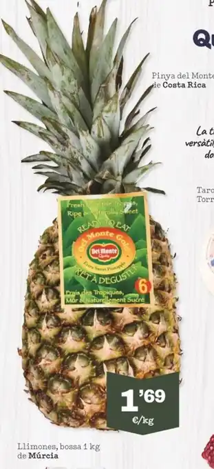 Sorli Pinya Del Monyr iLe Costa Rica oferta