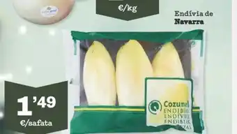Sorli Endivia De Navarra oferta