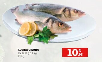 Alcampo Lubina grande oferta