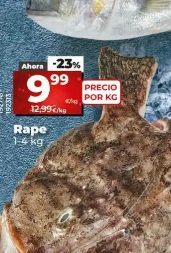 Maxi Dia Rape oferta