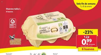 Lidl Huevos Talla L oferta