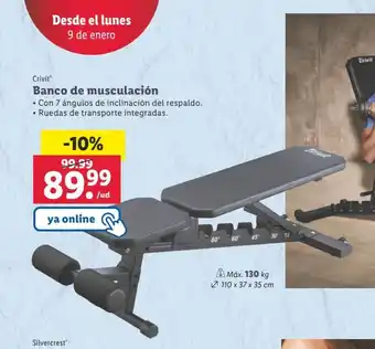 Lidl Banco De Musculacion oferta