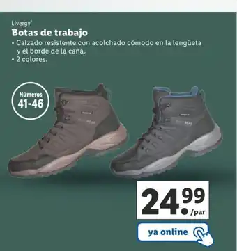 Lidl Botas De Trabajo oferta