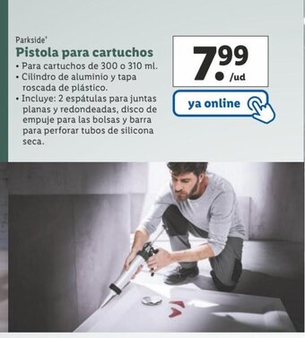 Lidl Pistola Para Cartuchos oferta