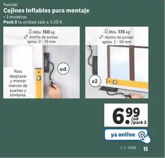 Lidl Cojines Inflables Para Montaje oferta