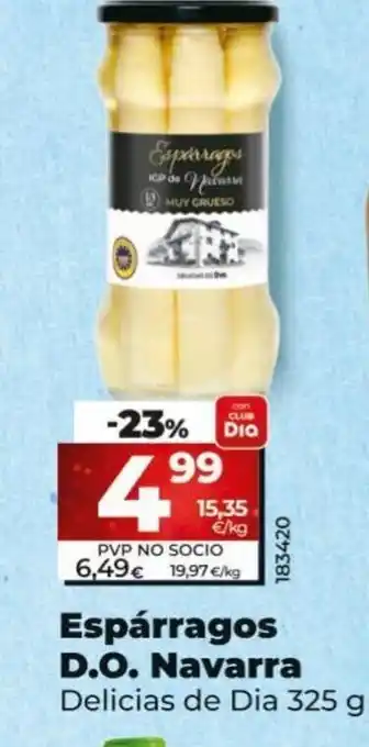Dia Espárragos D.O Navarra oferta