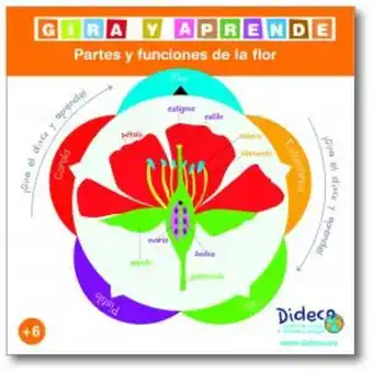 Dideco Gira y aprende partes y funciones de la flor oferta