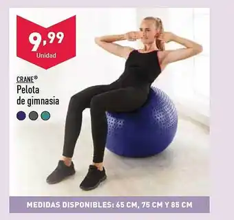 ALDI Crane pelota de gimnasie oferta