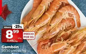 Dia Gambón 20-30 piezas-kg oferta