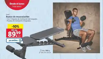 Lidl Crivit banco de musculation oferta