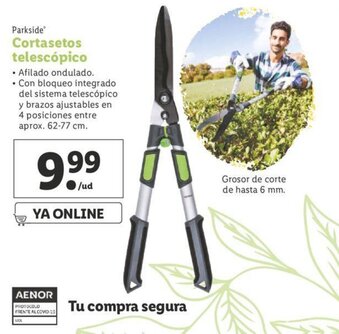 Lidl Parkside Cortasetos telescópico oferta