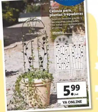 Lidl Florabest Celosía para plantas trepadoras Aprox. 40 x 117cm oferta