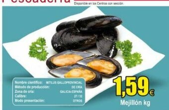FROIZ Mejillón kg oferta