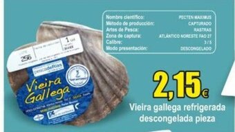 FROIZ Vieira gallega refrigerada descongelada pieza oferta