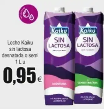 FROIZ Leche Kaiku sin lactosa desnatada o semi 1L u oferta