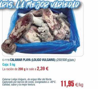 Abordo Calamar playa (loligo vulgaris) oferta
