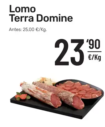 AhorraMas Lomo Terra Domine oferta