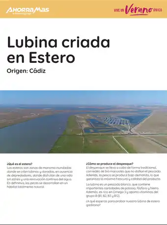 AhorraMas Lubina criada en Estero oferta