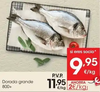 Eroski Dorada grande 800+ oferta