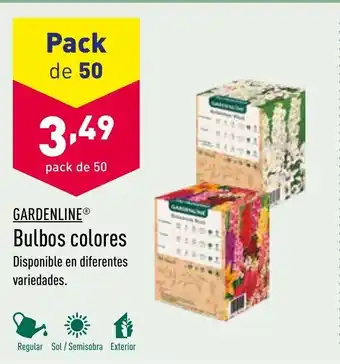 ALDI Gardenline Bulbos colores Pack de 50 oferta