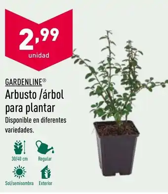 ALDI Gardenlina Arbusto / árbol para plantar oferta