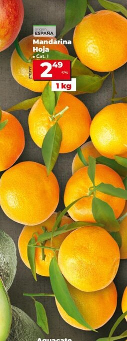 Dia Mandarina Hoja oferta