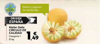 Carrefour Melón Galia Círculo De Calidad oferta