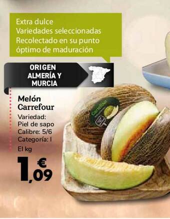 Carrefour Melón Carrefour oferta
