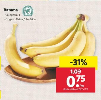 Lidl Banana oferta