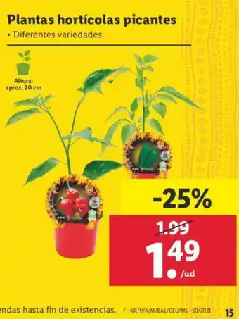 Lidl Plantas horticolas picantes oferta