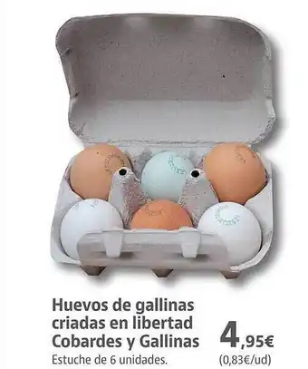 Supermercados Sánchez Romero Huevos de gallinas criadas en libertad cobardes y gallinas oferta