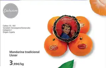 Mandarina tradicional llusar