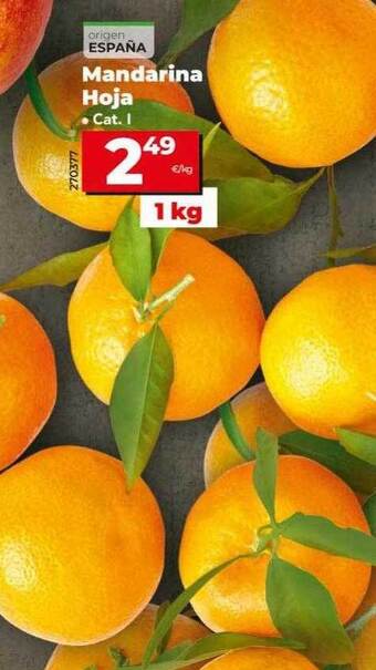 Dia Mandarina hoja oferta