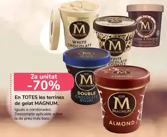 Carrefour En TOTES les terrines de gelat MAGNUM oferta