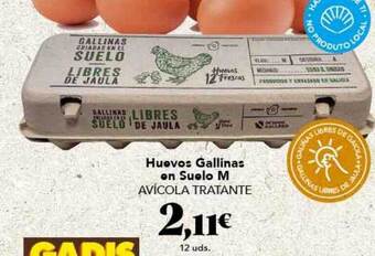 Gadis Huevos gallinas en suelo m avícola tratante oferta