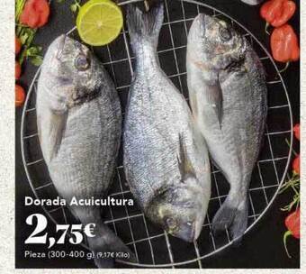 Gadis Dorada acuicultura oferta