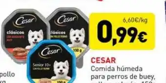 Cesar comida húmeda para perros de buey